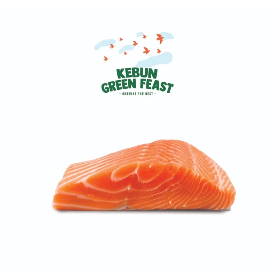 

Norwegian Trout Salmon Fillet