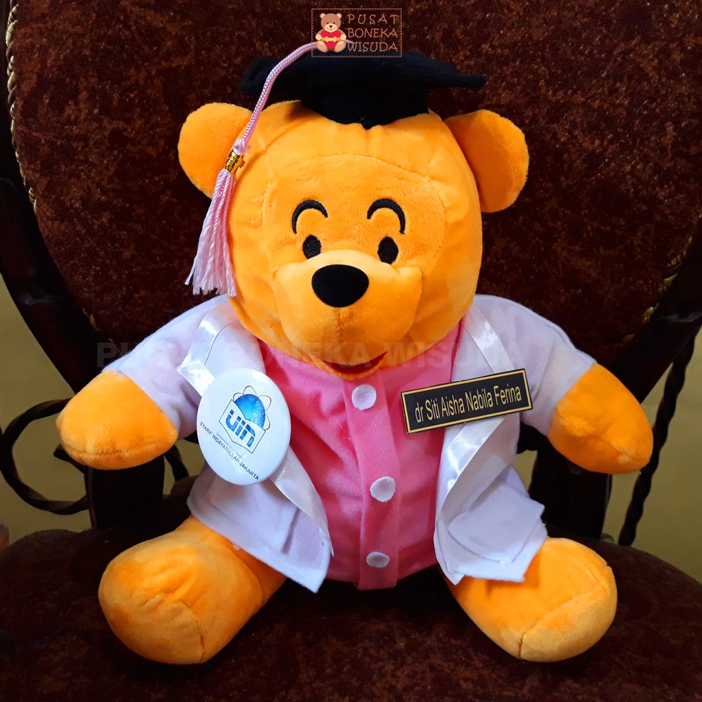 Boneka dokter snelli Winnie the Pooh Pooh wini poh 30cm Boneka Wisuda dokter Profesi Custom Medis