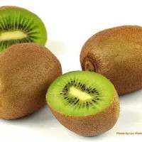 

buah kiwi 500gr