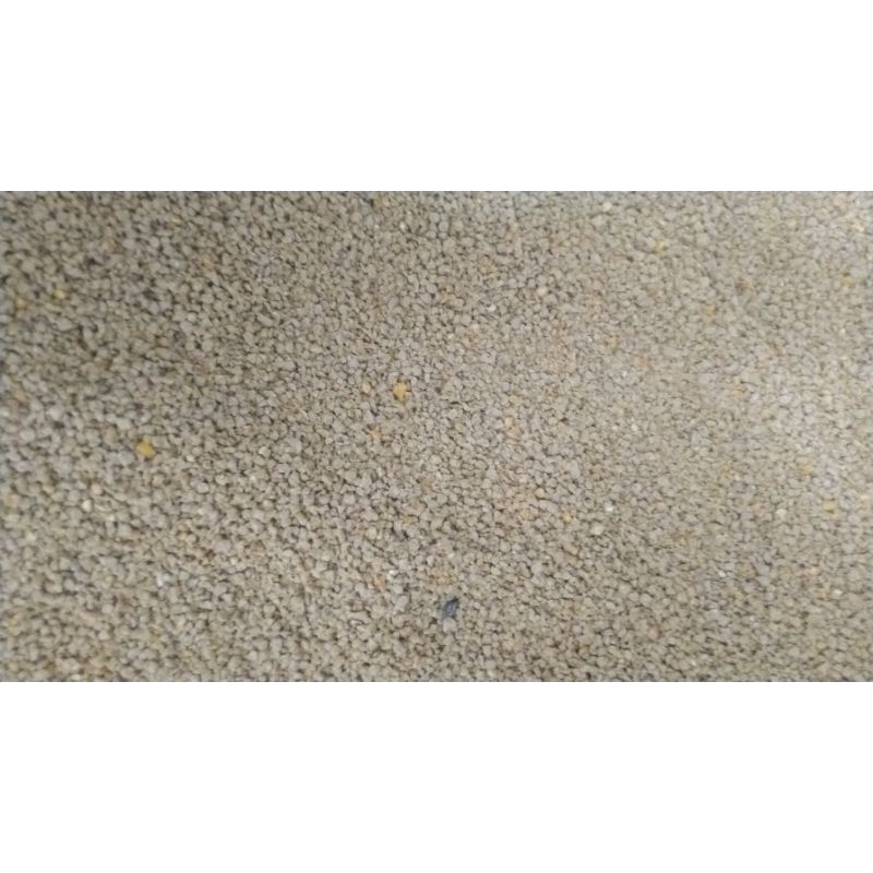 pur ayam pakan ayam 511 bravo