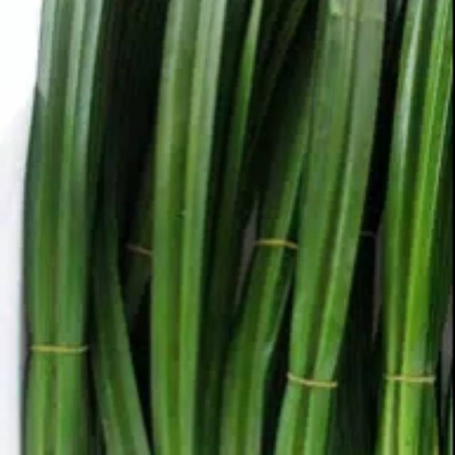 

Daun pandan