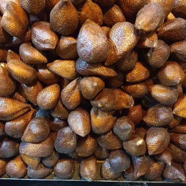 

SALAK PONDOH MANIS