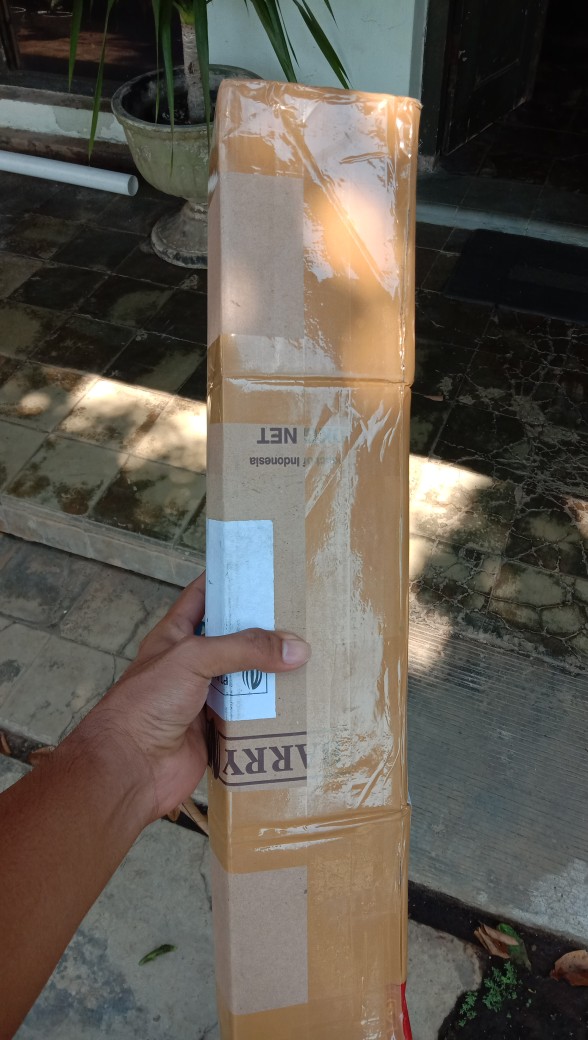 Grosir Bibit Bidara Harga Termurah Minimal Pemesanan 100 Bibit