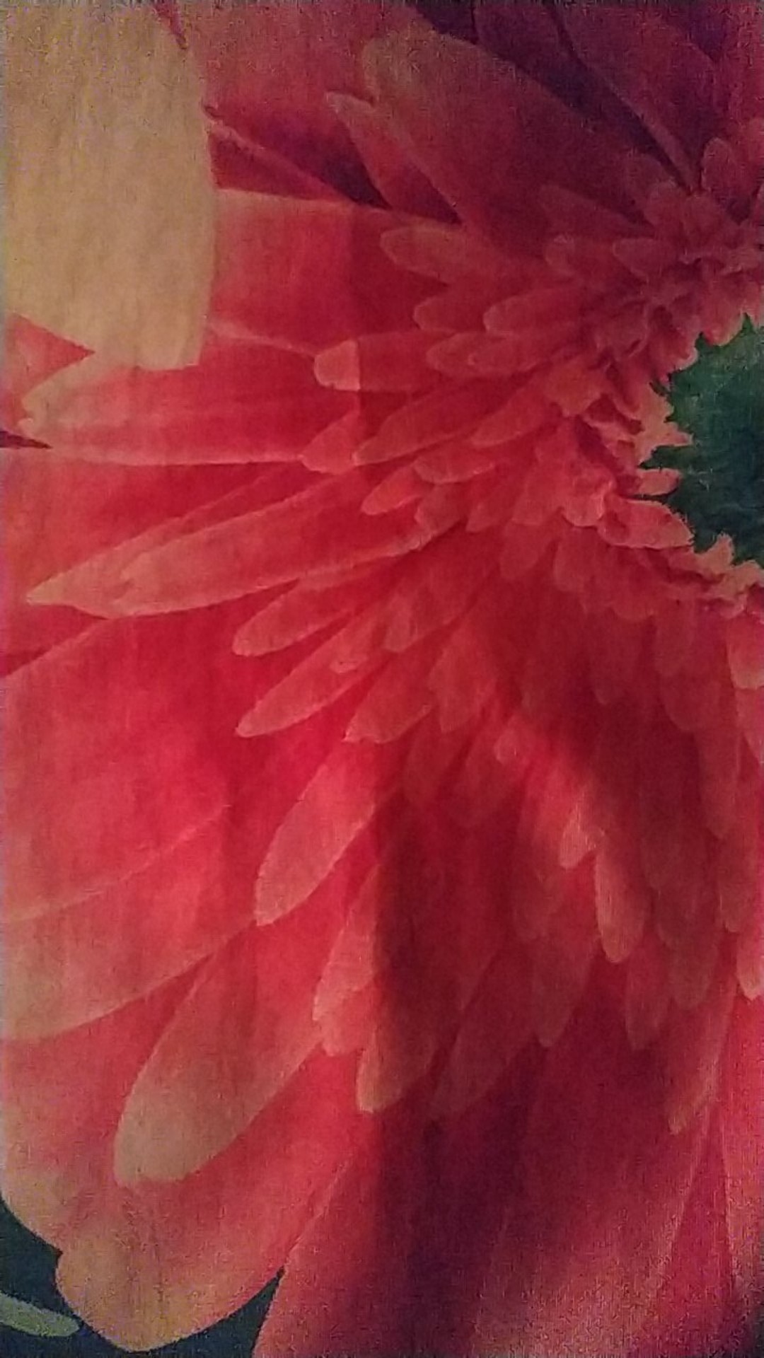 Plastik Opp Hijab Uk 17x24 Cm. Plastik Kaca Bening . Plastik Undangan Souvenir