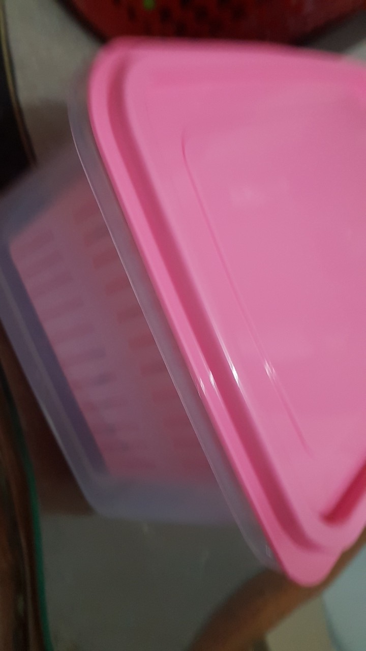 Kotak Serbaguna + Saringan Plastik Golden Lemon Sedang / Besar ( Tks161 / Tks162 )