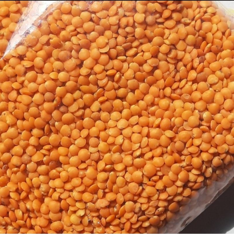 

Kacang Masoor Dal 500gr / lentil