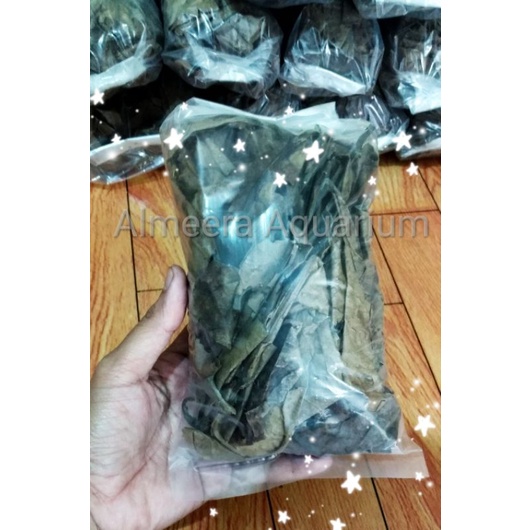 

OLAHAN DAUN KETAPANG LAUT 50 GRAM / 100 GRAM