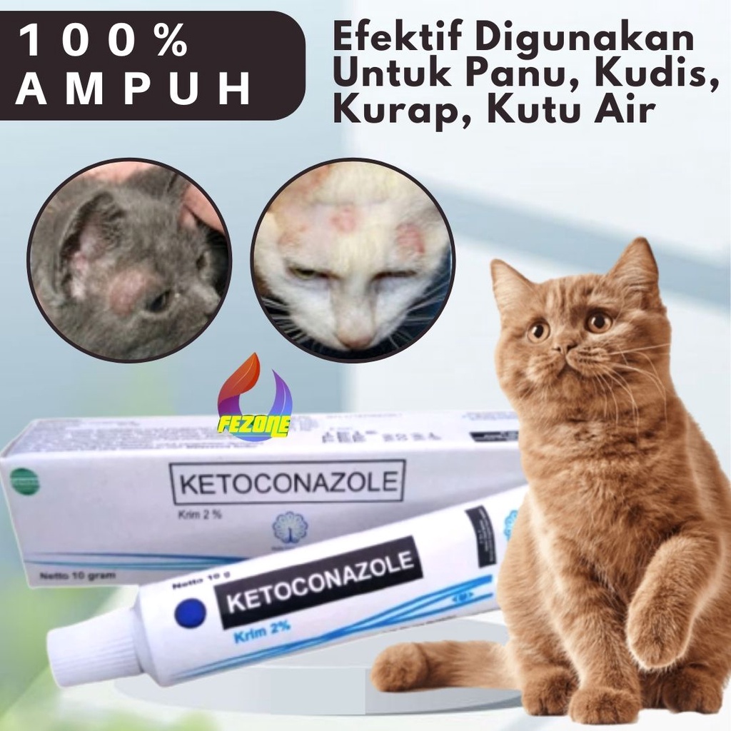 KETOCONAZOLE - Salep Anti Jamur Untuk Kucing FEZONE