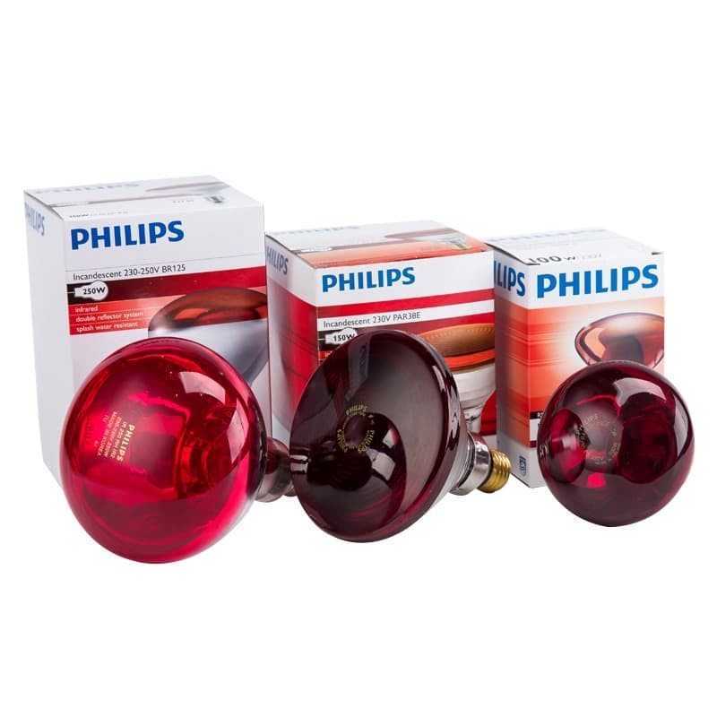 Bohlam Lampu Fisioterapi Infrared Philips Bulb Kesehatan
