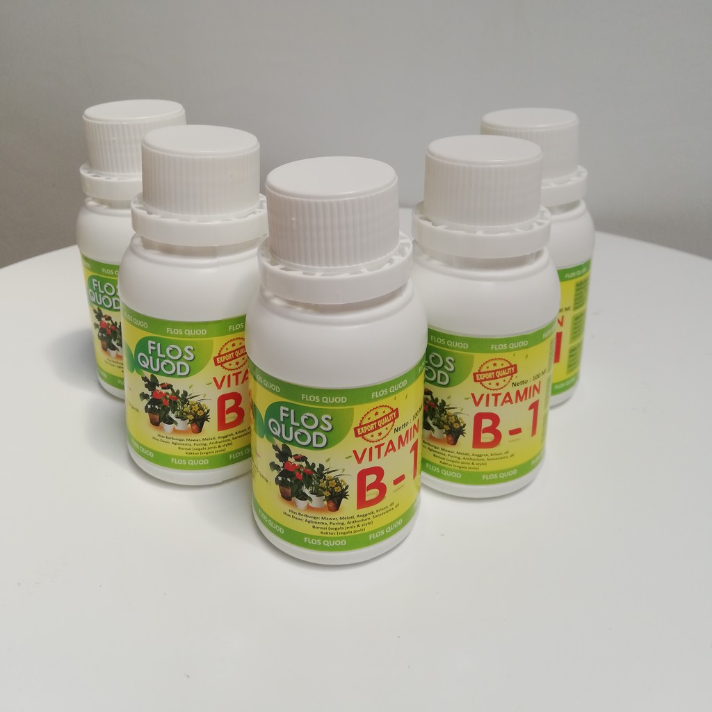 PUPUK,VITAMIN B1 UNTUK TANAMAN HIAS,PUPUK CAIR,VITAMIN AGLONEMA,PUPUK CAIR ANGGREK,FLOS QUOD