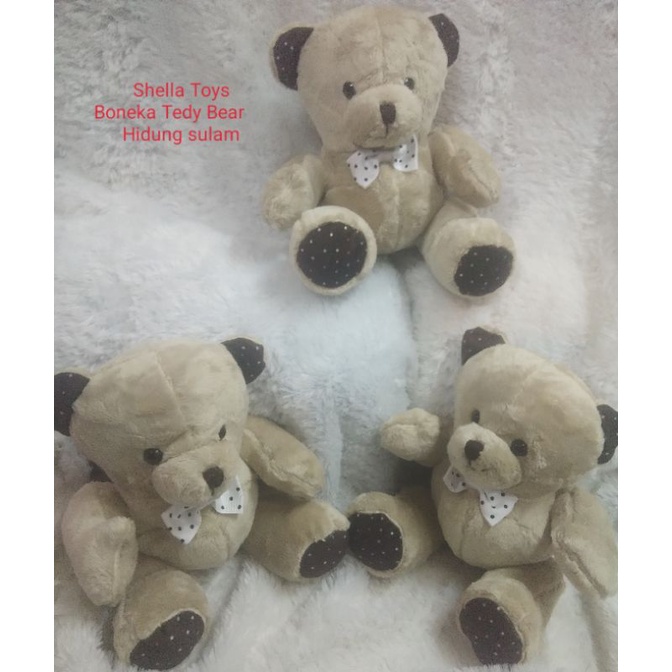 BONEKA TEDDY BEAR HIDUNG SULAM 20CM