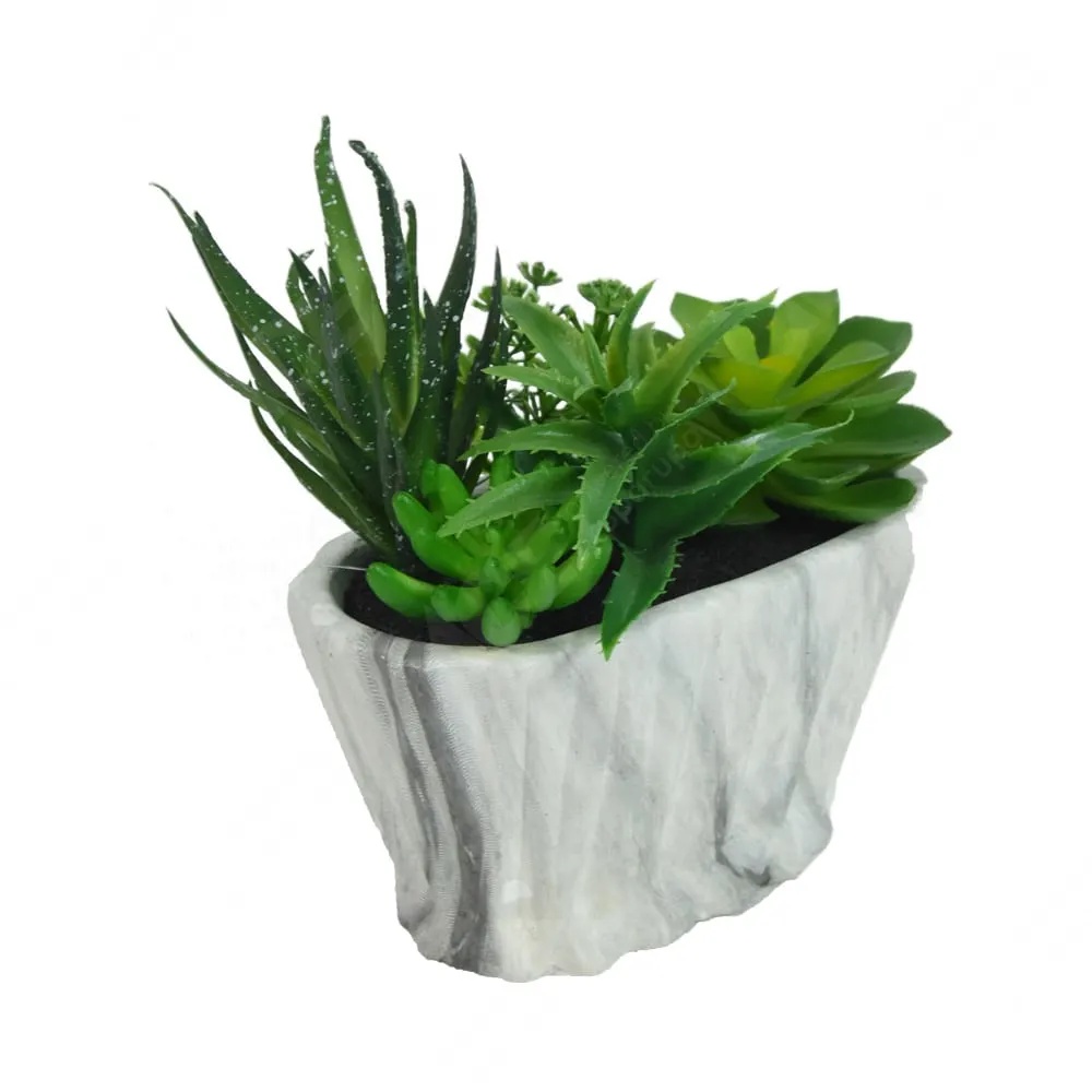 ACE Arthome 13 Cm Sukulen Artifisial Vizia Marble