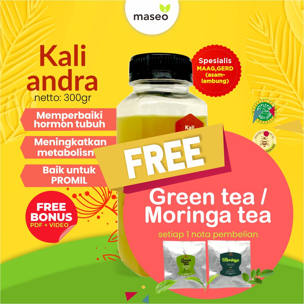 

Madu Murni Maseo Kaliandra 300gr | Madu Asli Segar Organik Herbal Asam Lambung Maag Gerd Kroni