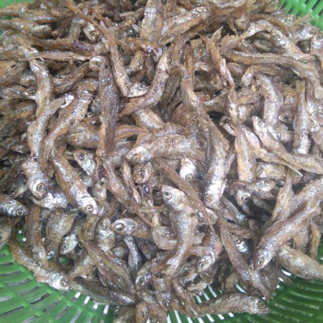 

Ikan BILIH ASLI DANAU SINGKARAK (100% ORIGINAL) Tahan 1 bulan