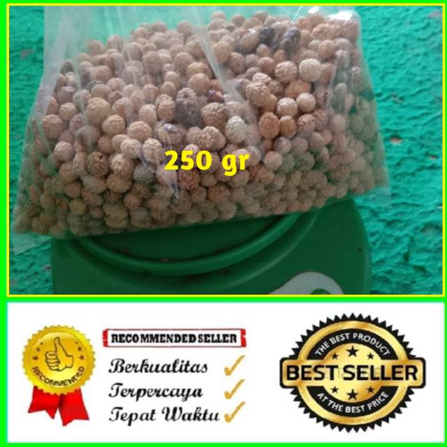 BIJI BIDARA 250 gr,bidara arab asli