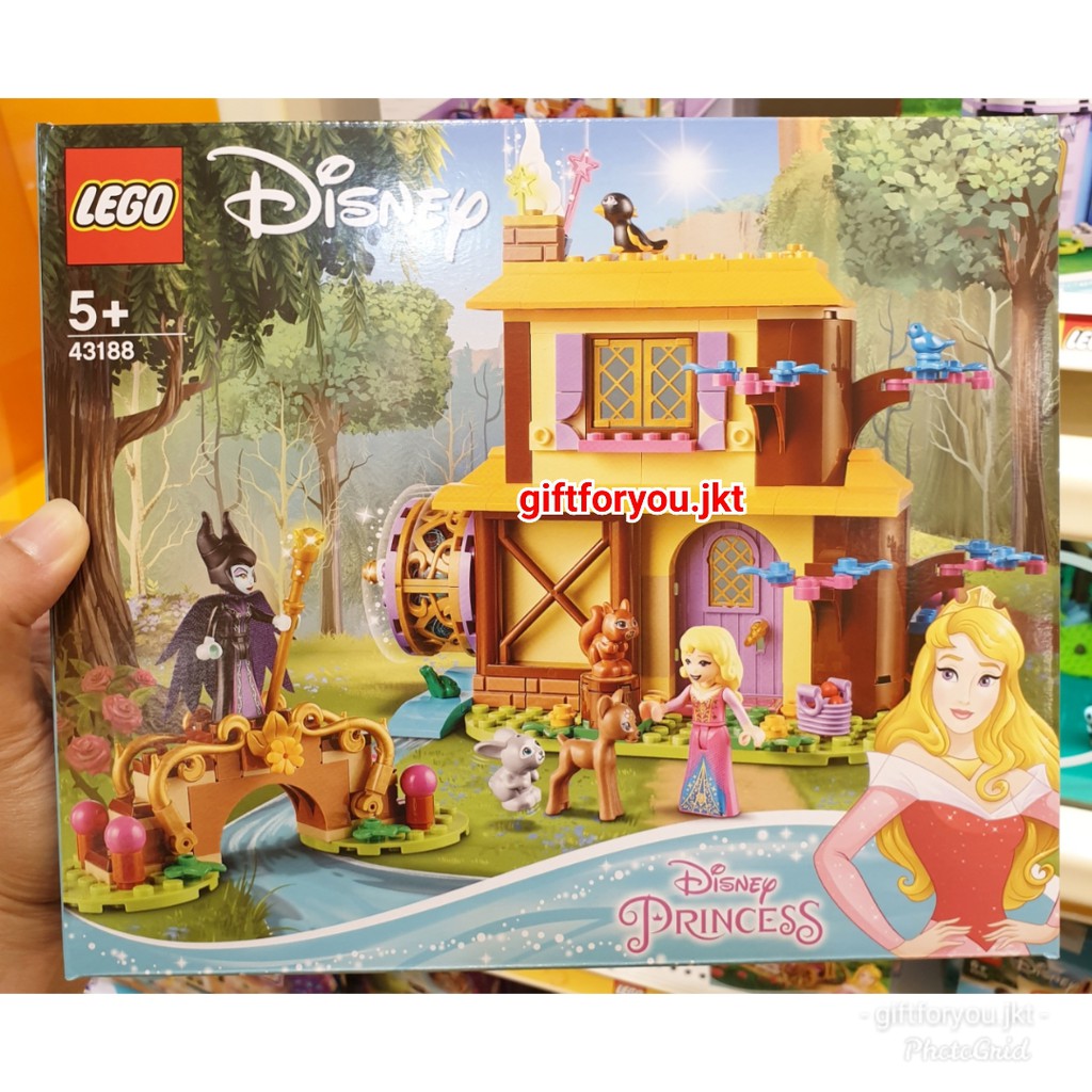 aurora's forest cottage