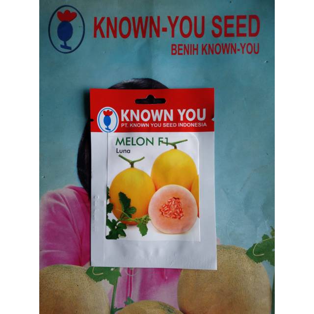 Benih Melon Golden LUNA F1 Sp