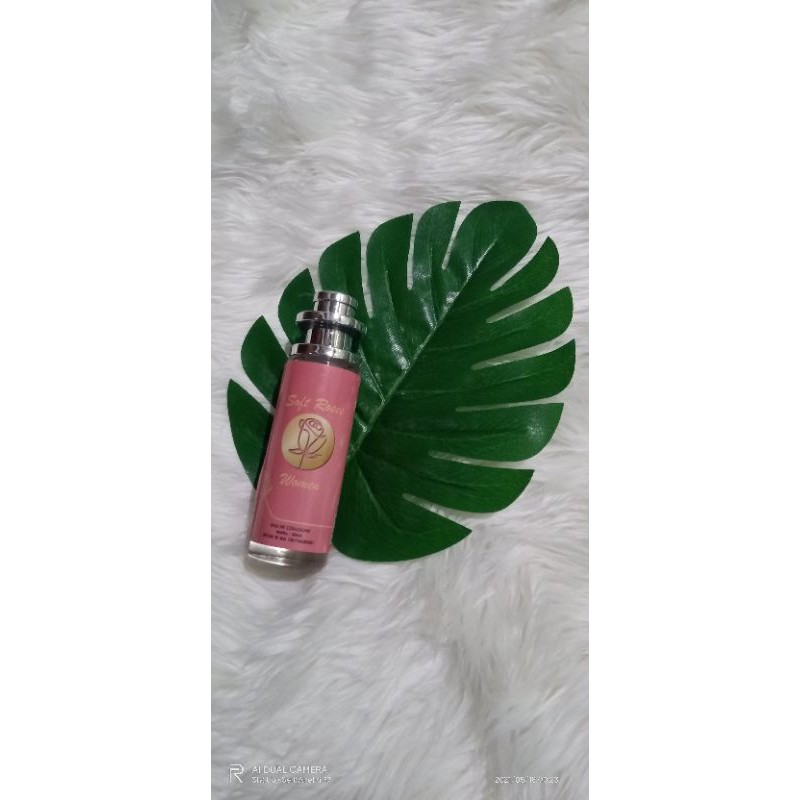 PARFUM THAILAND (SOFT ROSES WOMEN) 35ml BPOM ORIGINAL PARFUM PRIA PARFUM WANITA EAU DE COLOGNE
