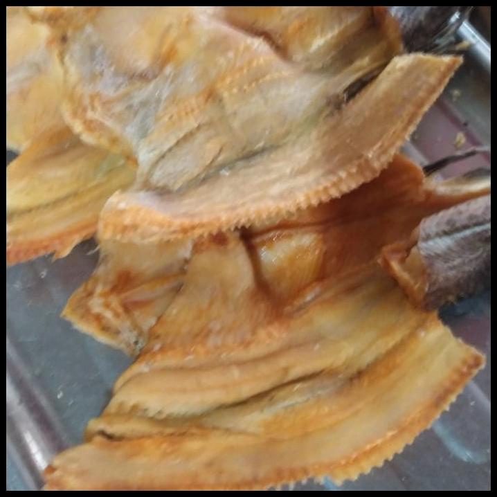 

Ikan Asin Gabus Tanggung Per 1Kg