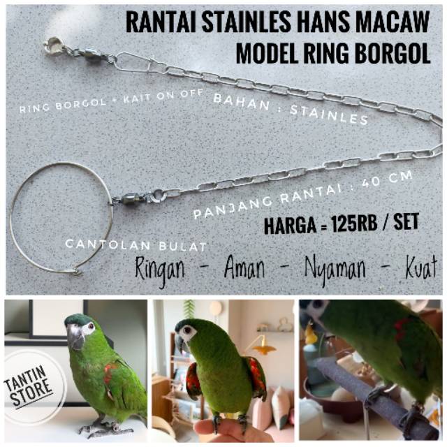 Rantai Stainles Burung Hans Macaw