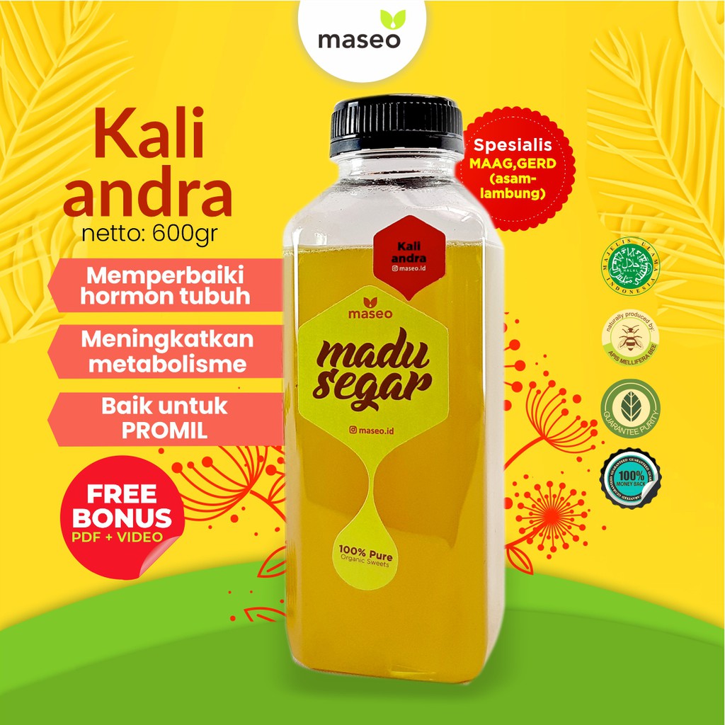 

Maseo Madu Murni Kaliandra 600gr | Madu Asli Segar Organik Madu Lambung Maag Gerd Promil Hormon