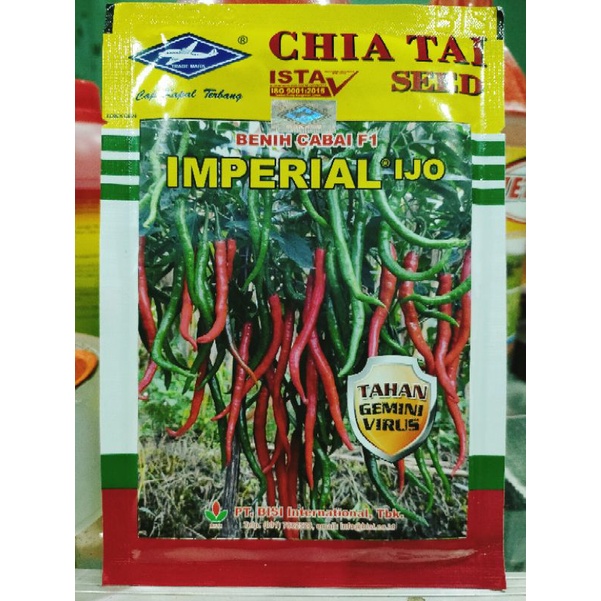 Lebih Tahan Virus Cabe Imperial Ijo F1 10gr Tahan Virus Original Pabrik CMK Tahan Virus Buah Lebat