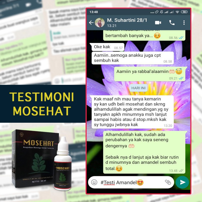 [TERLAKU] Mosehat Obat Herbal Vertigo / Migrain / Mata Minus 100% Tanpa Efek Samping-4