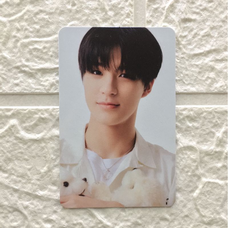 pc jeno boneka sg22 benefit sg's 22 nct dream jeno photocard