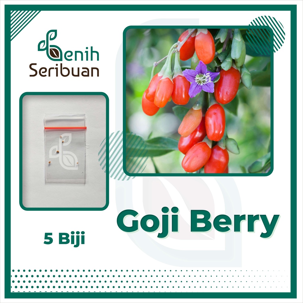 BS-BYL Benih Buah Bibit Tanaman Buah F1 Hibrida Unggul Anggur Strawberry Semangka Melon Labu Pepaya Jambu Blackberry Ciplukan Raspberry dll-GOJI BERRY