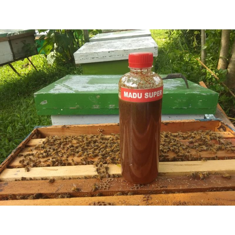 

madu super asli murni