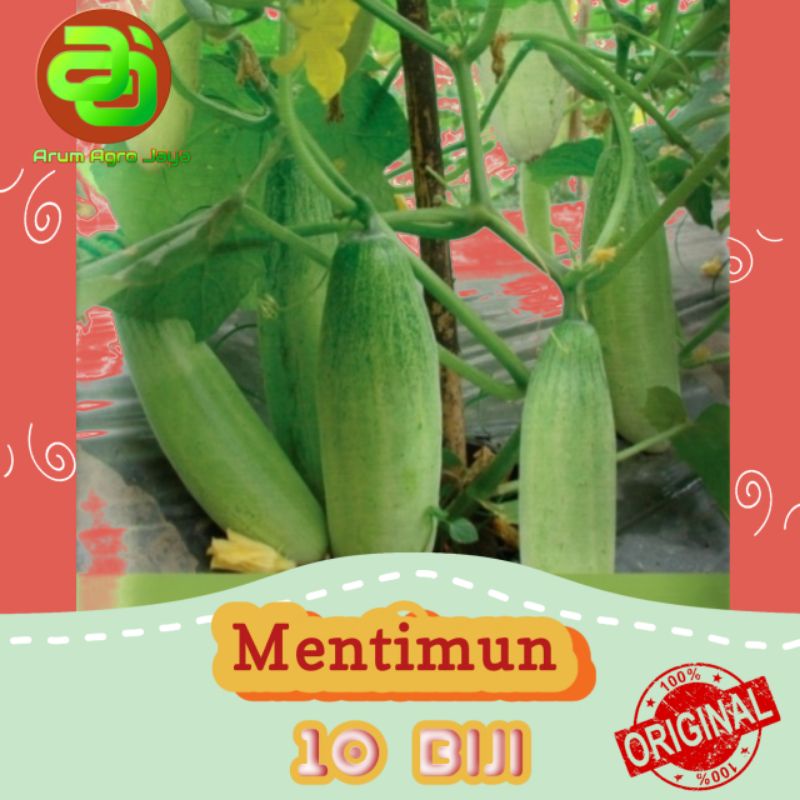 Benih biji mentimun benlebat timun lalap 10 biji