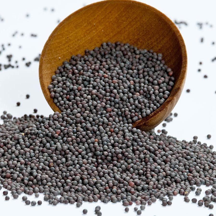 Jual Asli Biji Sawi Hitam Black Mustard Seed Biji Sawi Hitam