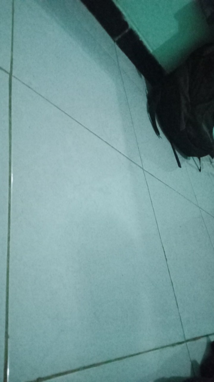 Batik Wanita - Atasan Batik 311 - 211 - 482 Size Xl