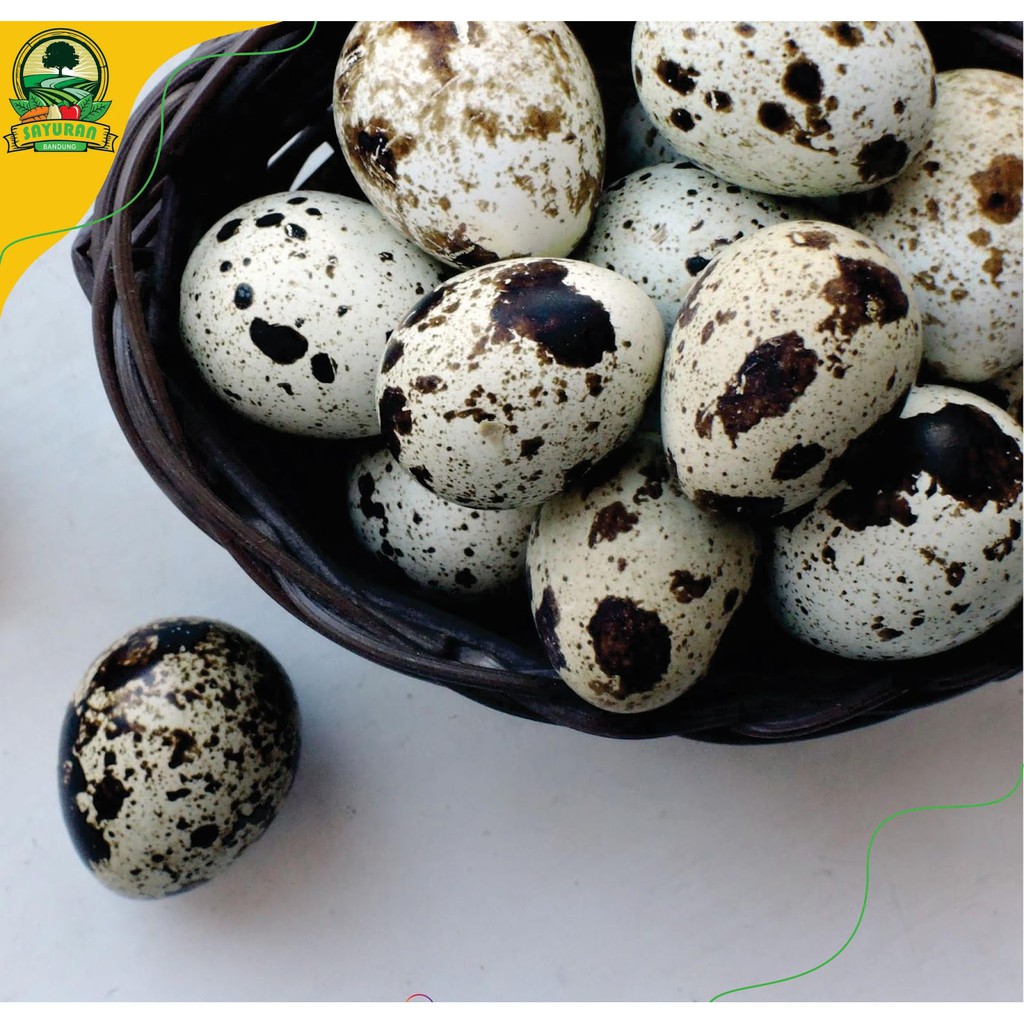 

Segar Telur puyuh /250gr