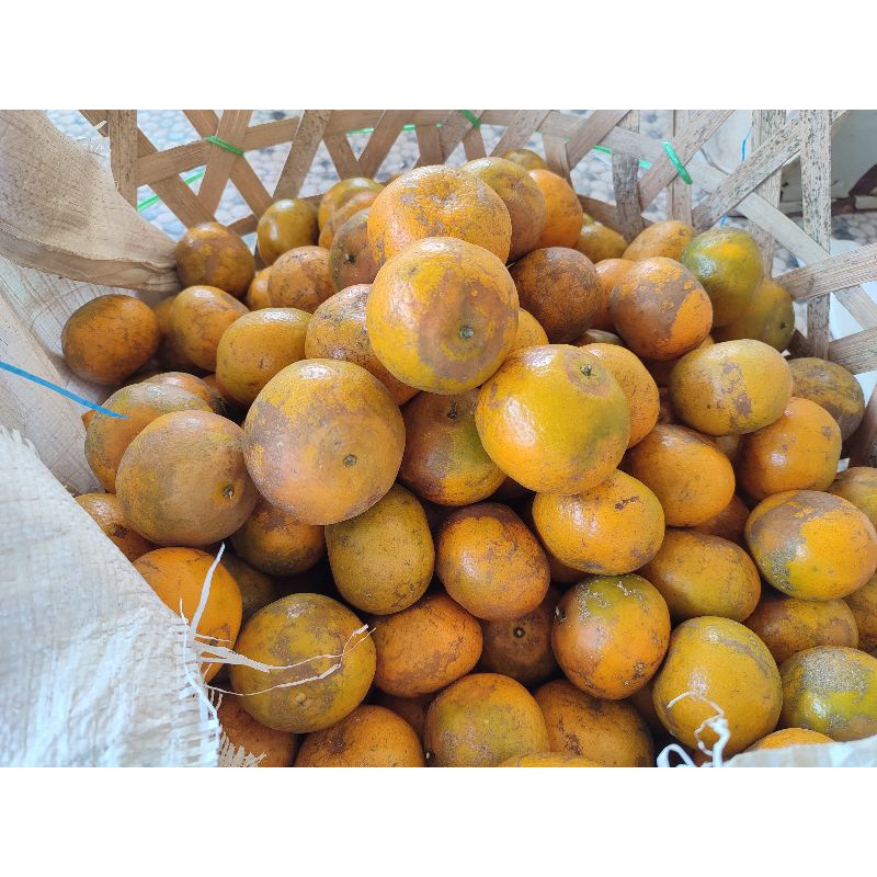 

jeruk Medan Berastagi By Bang Dame