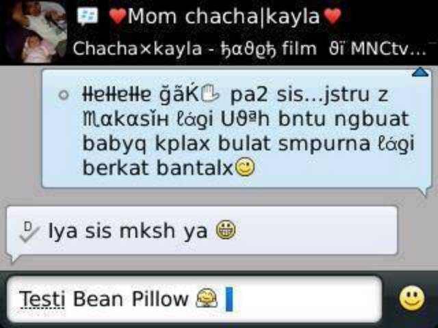 Bantal Set Dita( Bean Pillow Bolster protector)