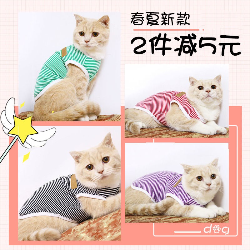 Pakaian Anjing Kucing Model Kemeja Lucu Shopee Indonesia