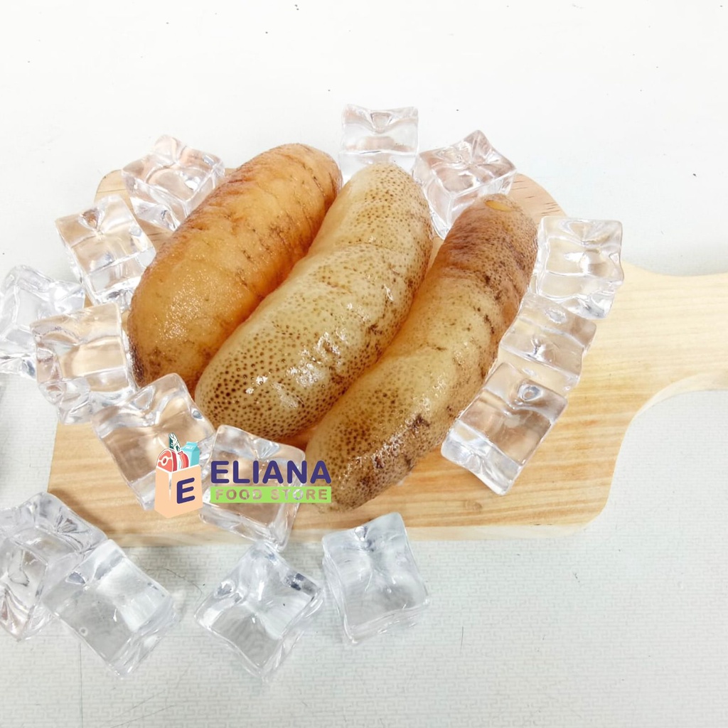 

PREMIUM TERIPANG / HOISOM / HAISOM / SEA CUCUMBER / TIMUN LAUT 500 GR - 1 KG