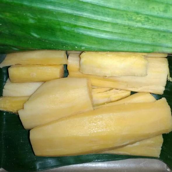 

khqn Tape Sari Madu 600g Jember え 70