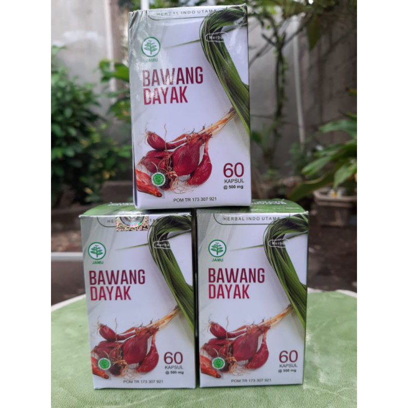 Kapsul Ekstrak Bawang Dayak 60caps BPOM - Herbal Kholestrol, Kanker - BAWANG DAYAK ORIGINAL