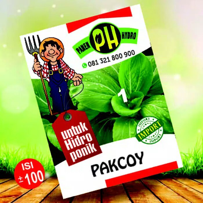 Benih bibit pakcoy khusus hidroponik