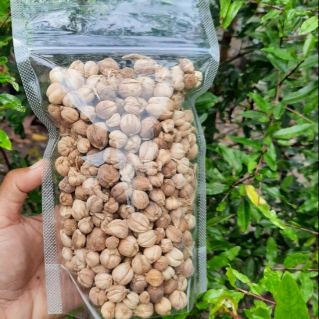 

100 gr kapulaga jawa bersih