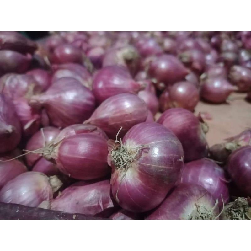 

Bawang merah