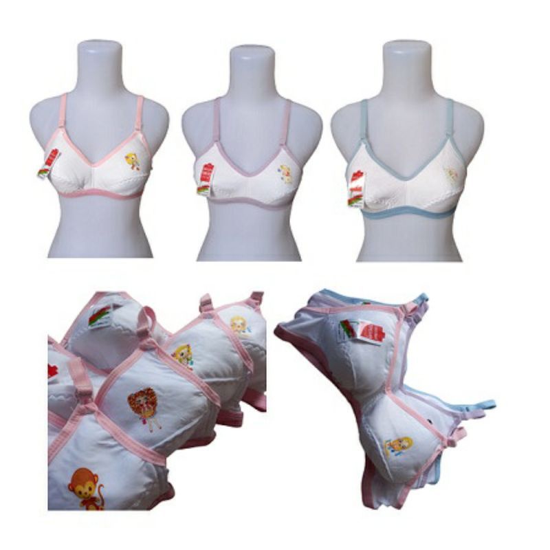 SS - 6 Pcs Bra BH Remaja Tasya / BH ABG Tanpa Busa / Bra Tanpa Busa