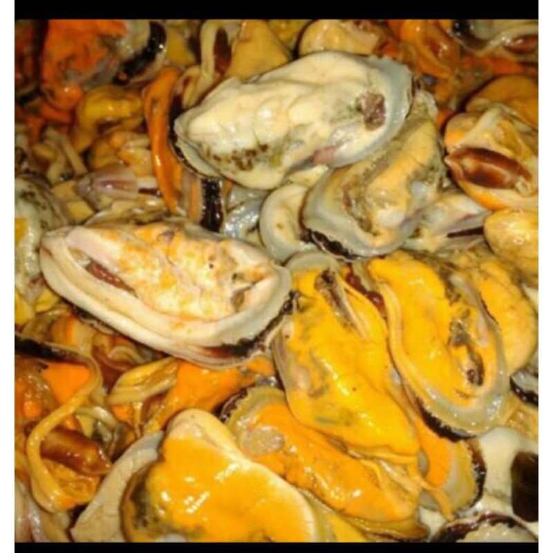 

kerang 250g Pasar Segar Depok