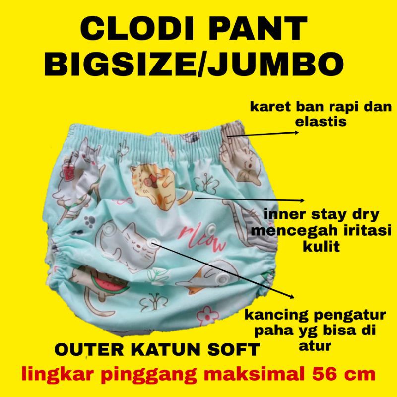 CLODI PANT + INSERT 4 LAYER POPOK CELANA BIG SIZE