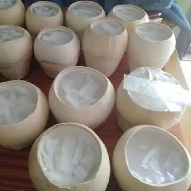 

puding kelapa muda TERMURAH Kode 1059