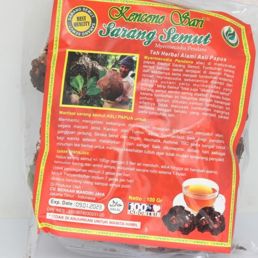 

Teh Curah Sarang Semut Kencono Sari Asli Original Kesehatan Obat Kangker