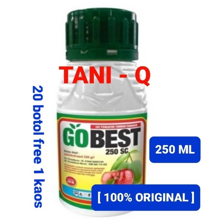 GOBEST 250ML