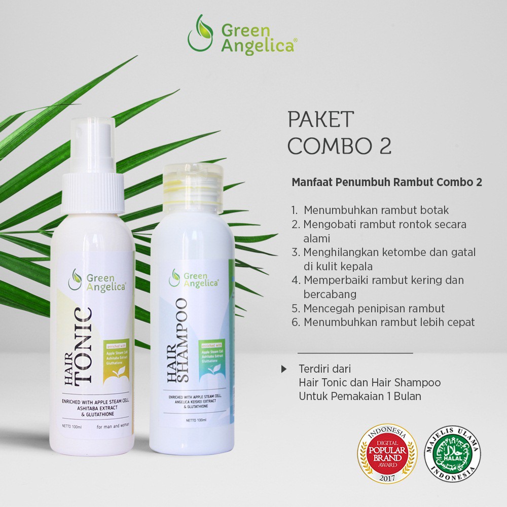 Green Angelica - Penyubur Rambut Alami Yang Bagus Perawatan rambut rontok dan kering Combo 3